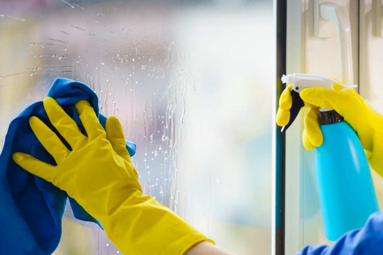 The Benefits of Using Window Cleaning Services